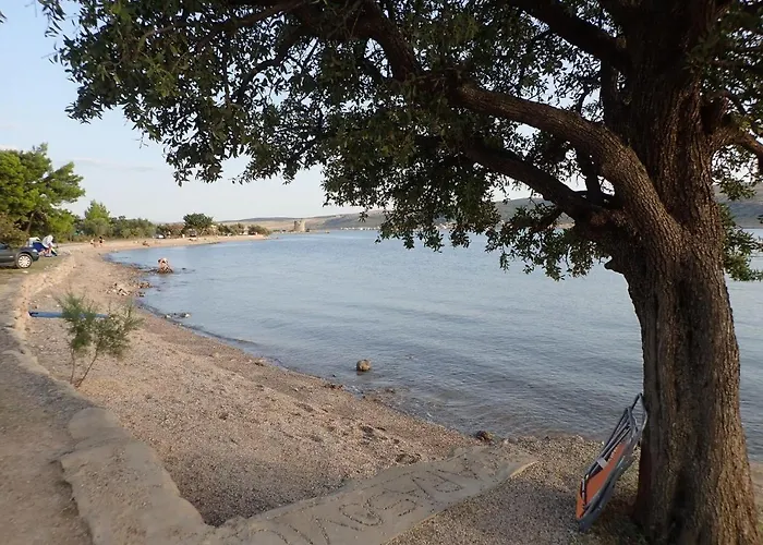 In Near Paklenica Park